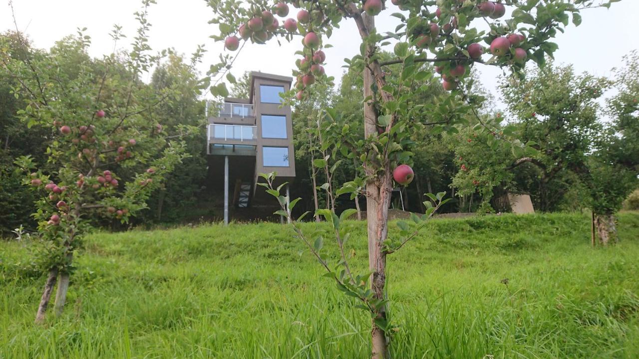 Hardanger Panorama Lodge Ulvik Exterior photo